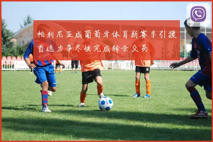 帕利尼亚成葡萄牙体育新赛季引援首选力争尽快完成转会交易